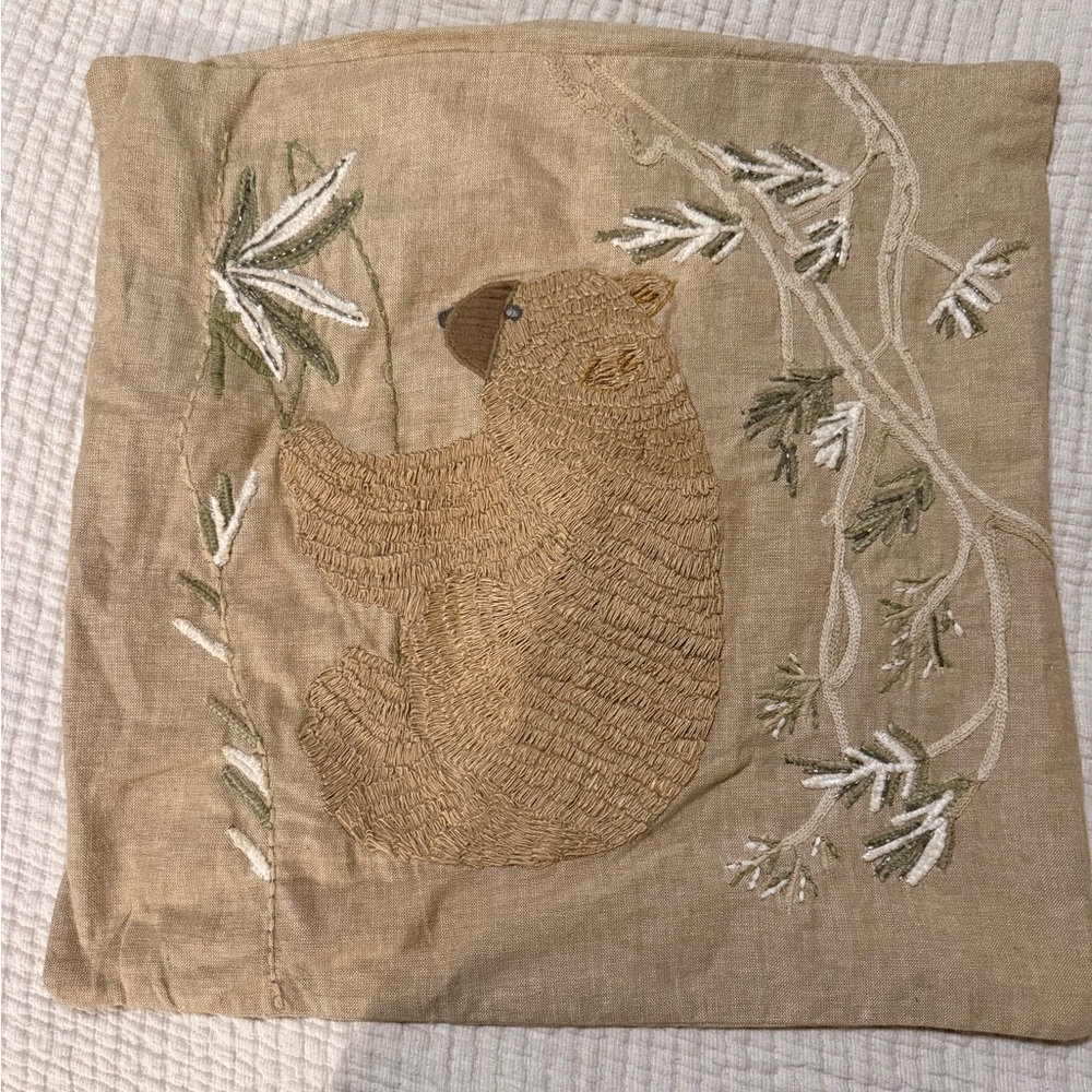 Pottery Barn pillow case